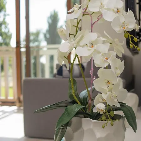 Διαμέρισμα Nadjeziorna