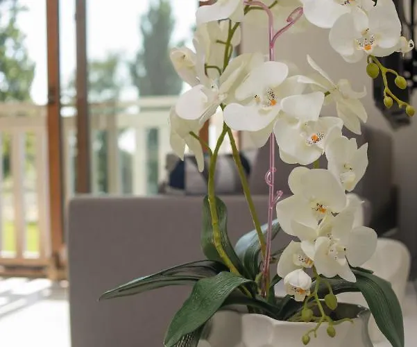 Apartmán Nadjeziorna