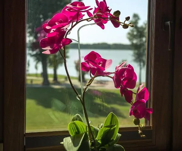 Apartmán Nadjeziorna